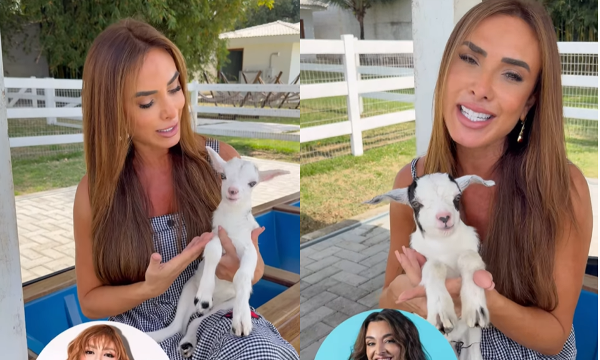 Nicole Bahls homenageia colegas do “Dança dos Famosos” ao nomear cinco cabritos recém-nascidos - Imagem do artigo