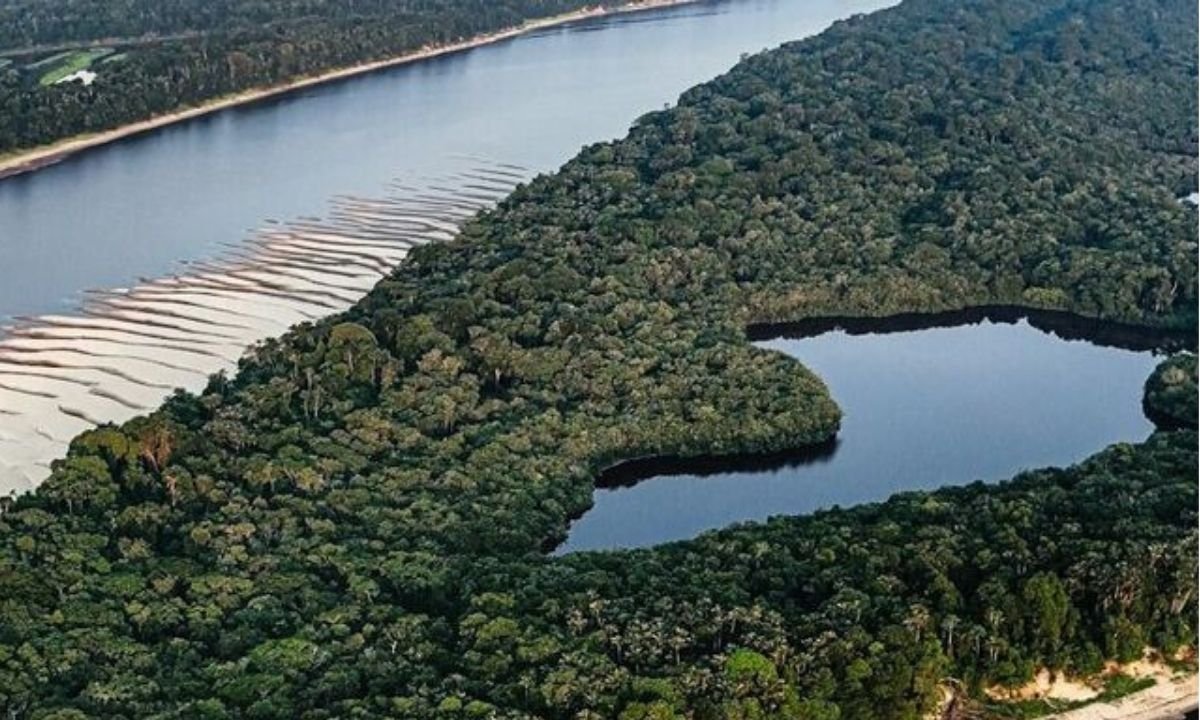 Especialista vê risco de catástrofe ambiental em perfuração da Petrobras na Foz do Amazonas - Imagem do artigo
