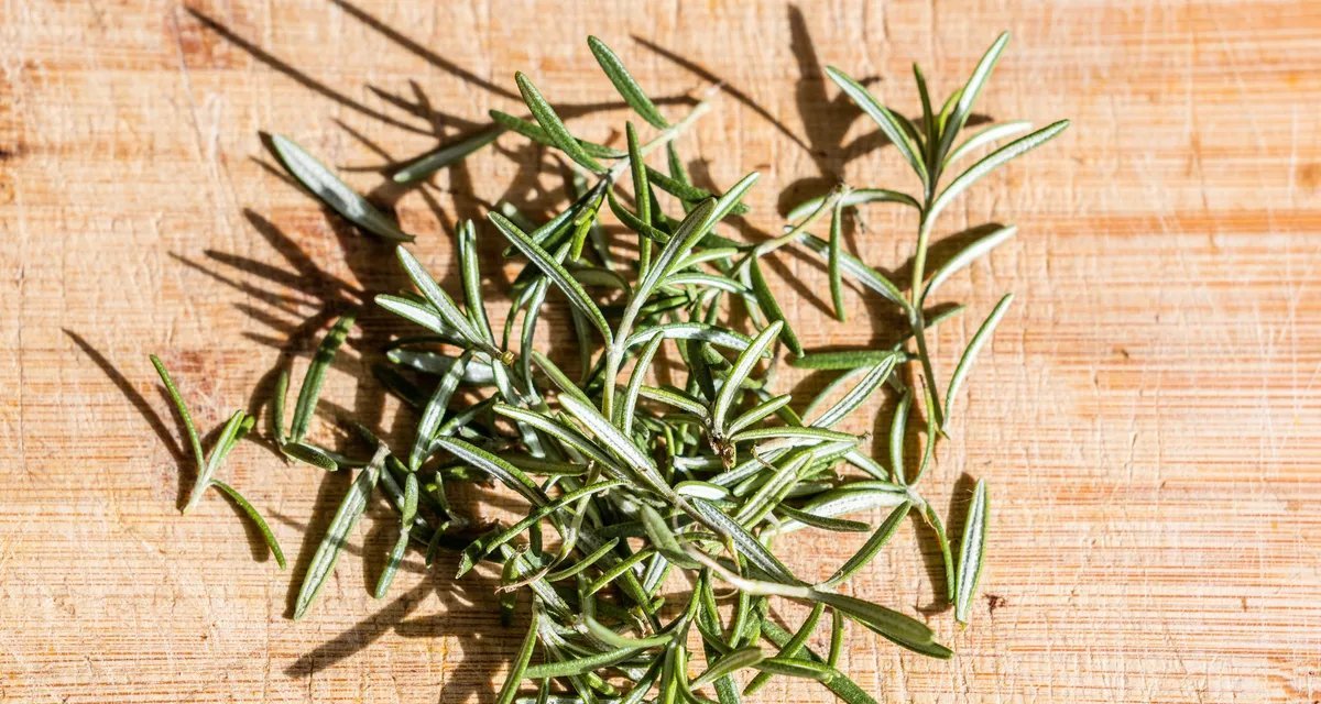 Frasco com alecrim e sal grosso se populariza como recurso simples para equilibrar ambientes - Imagem do artigo