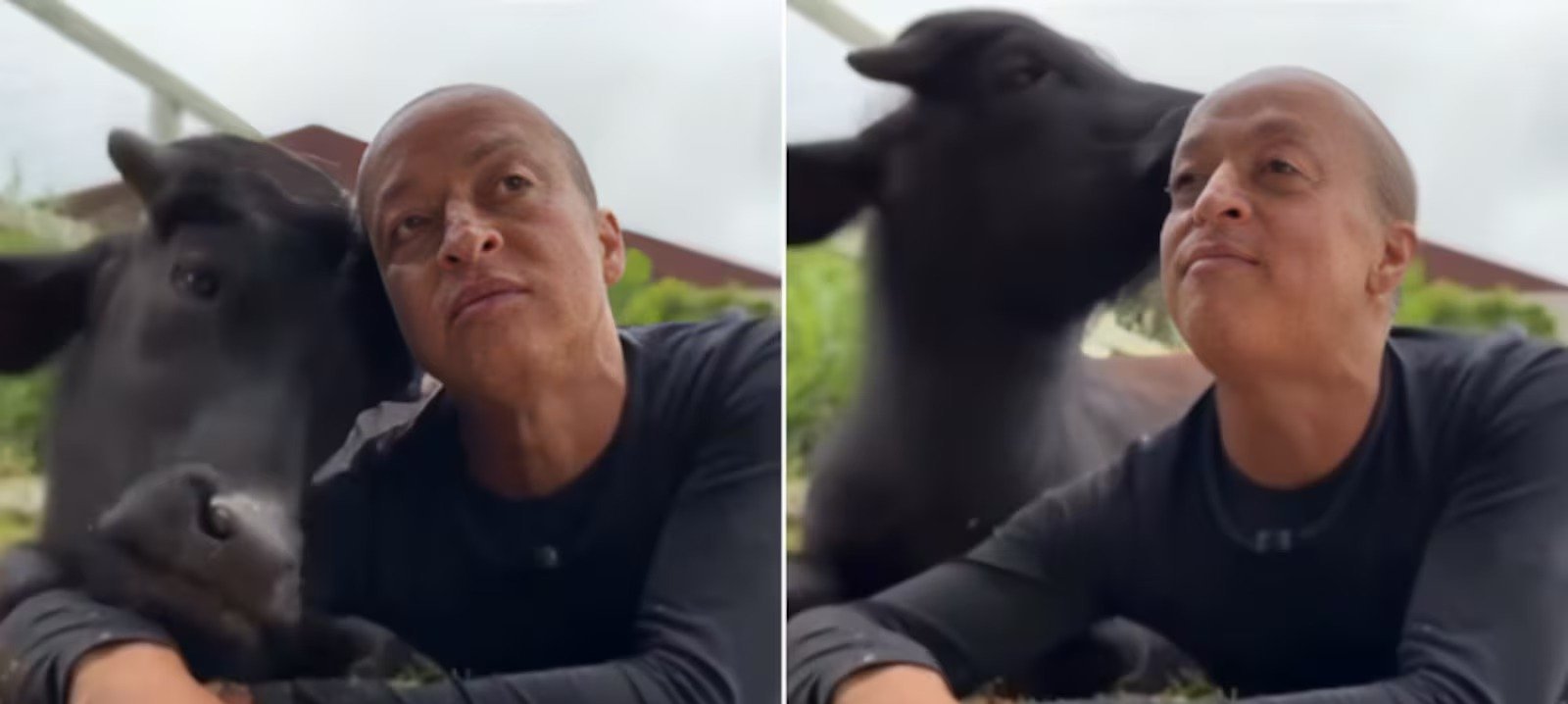 Walério Araújo e Luiz Mesquita deixam “A Fazenda 17” após Roça quíntupla - Imagem do artigo