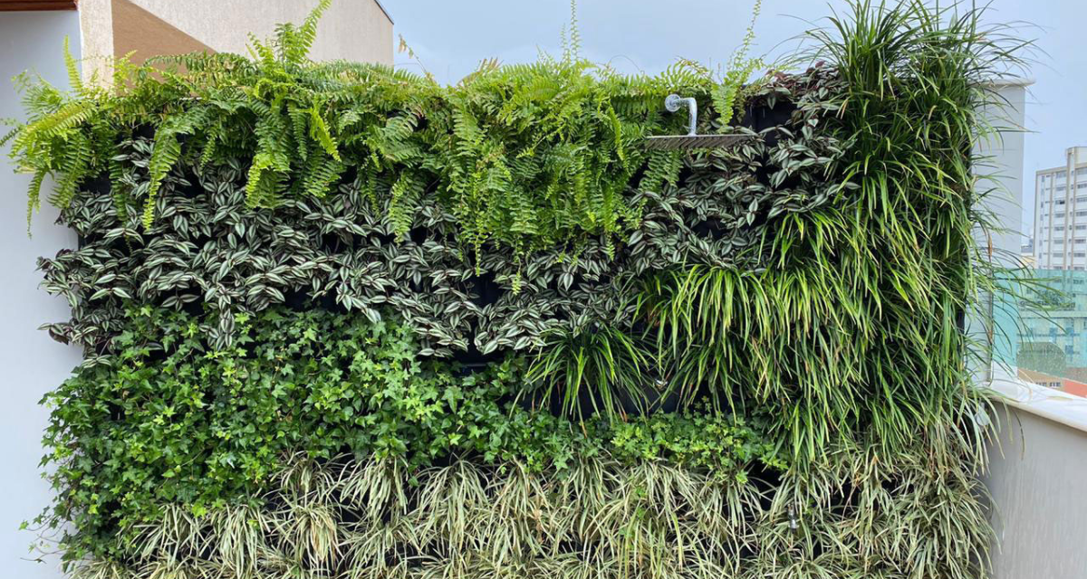Jardinagem vertical: passo a passo ensina como montar estrutura verde em espaços reduzidos - Imagem do artigo original
